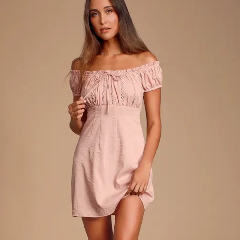 Size Small LuLu’s Wisteria Blush Pink Embroidered Mini Dress